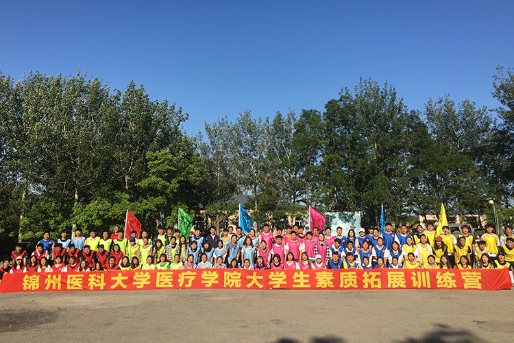 錦醫大醫療學院